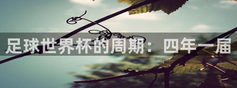 世界杯视频：足球世界杯的周期：四年一届