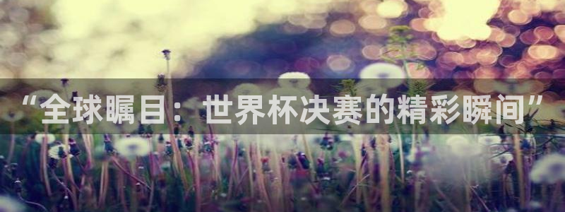 世界杯直播免费观看：“全球瞩目：世界杯决赛的精彩瞬间”