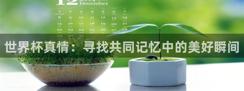 世界杯在线直播入口：世界杯真情：寻找共同记忆中的美好瞬间