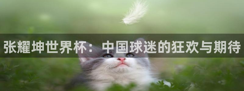 世界杯直播时间：张耀坤世界杯：中国球迷的狂欢与期待