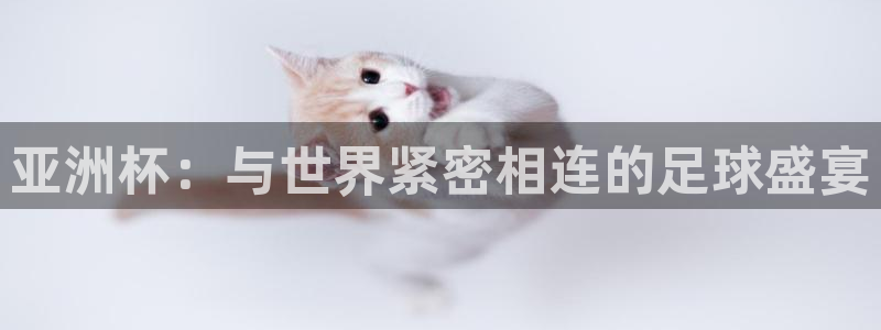 葡萄牙世界杯赛程：亚洲杯：与世界紧密相连的足球盛宴