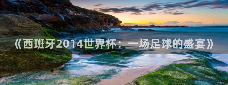 2026世界杯对阵图：《西班牙2014世界杯：一场足球的盛宴》