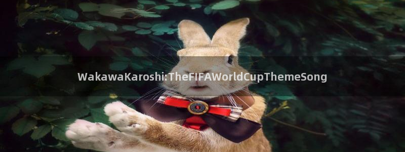 世界杯2026预选赛：WakawaKaroshi:TheFIFAWorldCupThemeSong