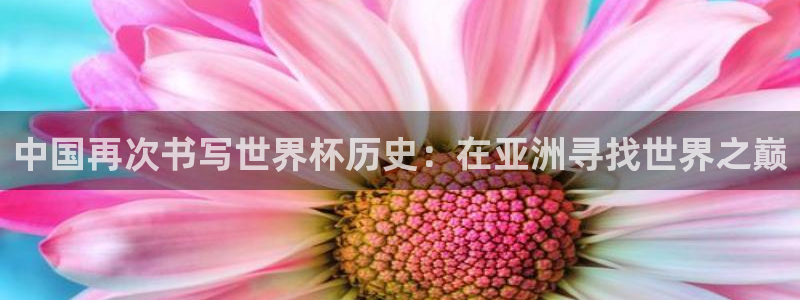 世界杯 直播：中国再次书写世界杯历史：在亚洲寻找世界之巅