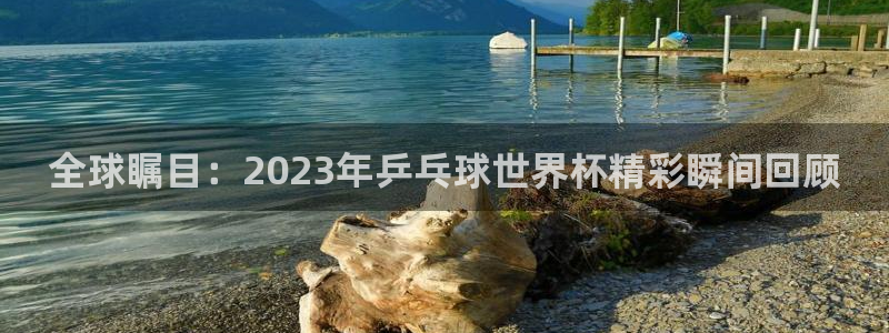 法国杯2026赛程表：全球瞩目：2023年乒乓球世界杯精彩瞬间回顾