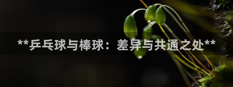 免费足球比赛直播高清:**乒乓球与棒球:差异与共通之处**