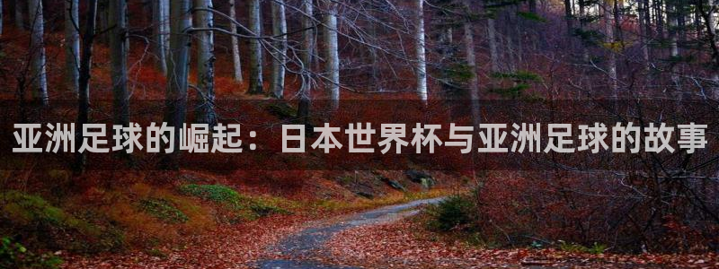 世界杯直播平台：亚洲足球的崛起：日本世界杯与亚洲足球的故事