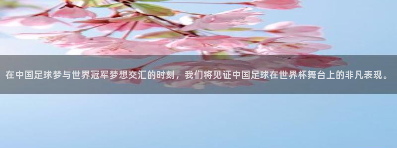 世界杯球队：在中国足球梦与世界冠军梦想交汇的时刻，我们将见证中国足球在世界杯舞台上的非凡表现。